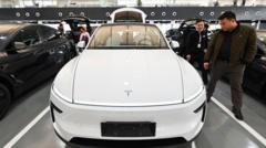 Nearly three million Teslas recalled in China over hidden door handles