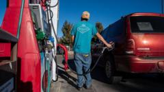 Trump wants to reduce the cost of fuel as the midterms loom – will it work?